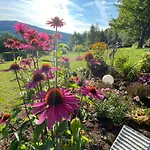 Dein Himmelreich - Ruheoase Im Almenland Auf 1000m Ueber'm Alltag