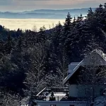 Daire Dein Himmelreich - Ruheoase Im Almenland Auf 1000m Ueber'm Alltag