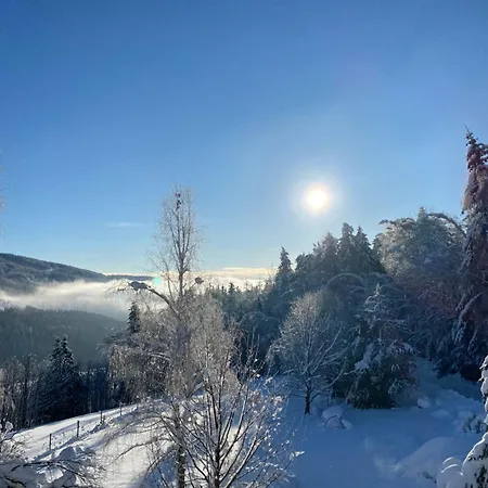 Apartment Dein Himmelreich - Ruheoase Im Almenland Auf 1000m Ueber'm Alltag *