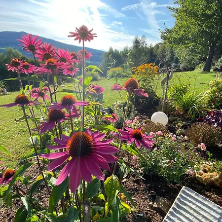 Dein Himmelreich - Ruheoase Im Almenland Auf 1000m Ueber'm Alltag