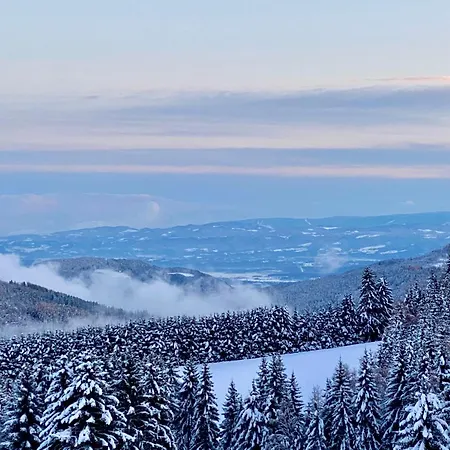 Apartment Dein Himmelreich - Ruheoase Im Almenland Auf 1000m Ueber'm Alltag Kloster