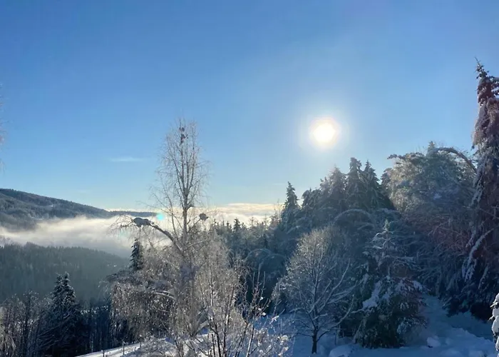 Appartement Dein Himmelreich - Ruheoase Im Almenland Auf 1000m Ueber'm Alltag *