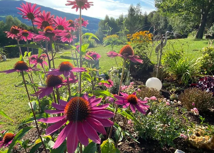 Dein Himmelreich - Ruheoase Im Almenland Auf 1000m Ueber'm Alltag