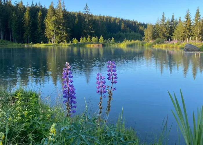 Dein Himmelreich - Ruheoase Im Almenland Auf 1000m Ueber'm Alltag * Kloster