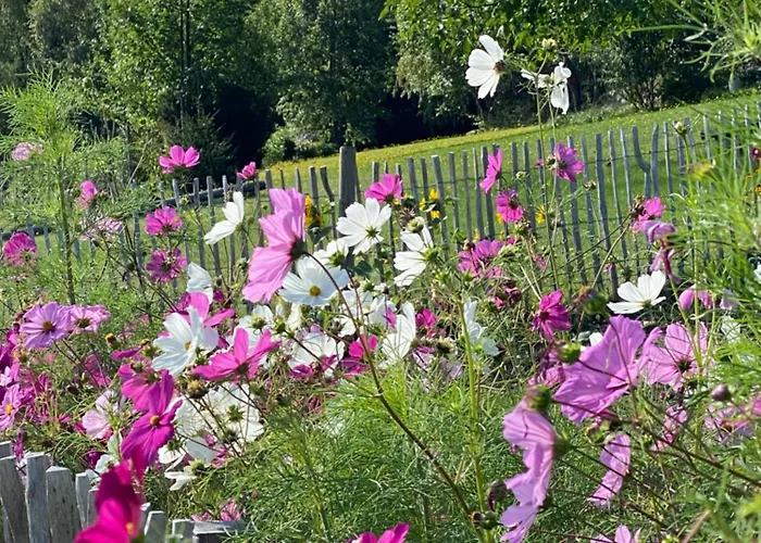 Dein Himmelreich - Ruheoase Im Almenland Auf 1000m Ueber'm Alltag * Kloster
