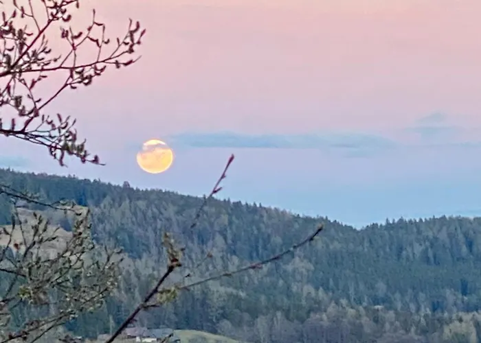 Dein Himmelreich - Ruheoase Im Almenland Auf 1000m Ueber'm Alltag Appartement *