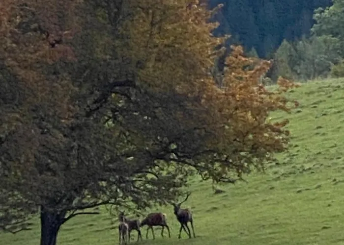 Appartement Dein Himmelreich - Ruheoase Im Almenland Auf 1000m Ueber'm Alltag Kloster