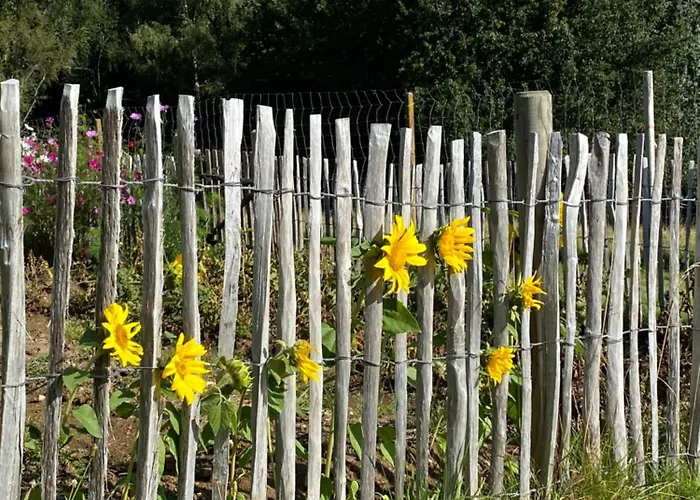 Appartement Dein Himmelreich - Ruheoase Im Almenland Auf 1000m Ueber'm Alltag *
