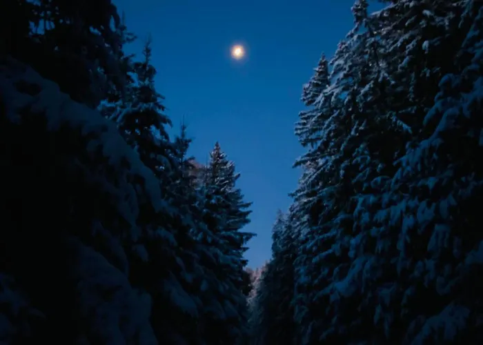 Dein Himmelreich - Ruheoase Im Almenland Auf 1000m Ueber'm Alltag Appartement