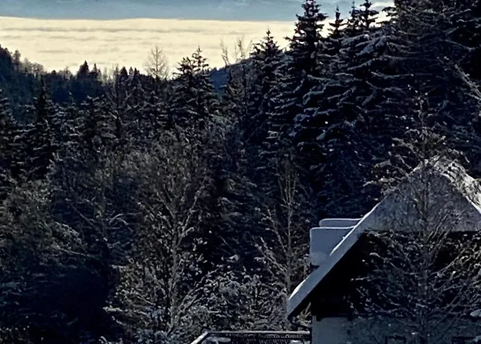 Appartement Dein Himmelreich - Ruheoase Im Almenland Auf 1000m Ueber'm Alltag