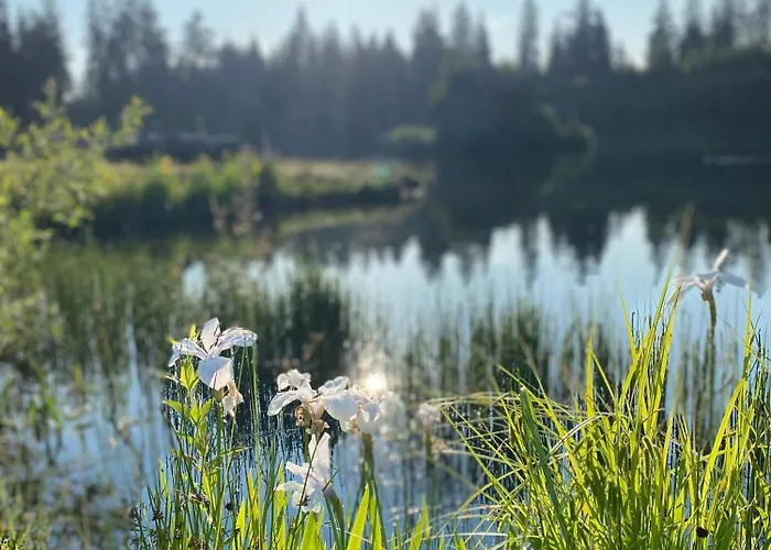 Dein Himmelreich - Ruheoase Im Almenland Auf 1000m Ueber'm Alltag Appartement *